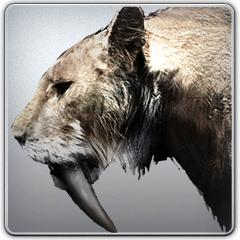 PSNA 99A6F6AD3BD44C59BCFFB31FDAD6E622E0BA38B7.png