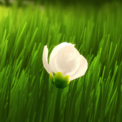 PSNA 734EA8EA3FE4F6F2DA3C401344940A44D7837D03.png