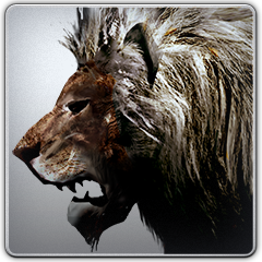 PSNA 228FD8A2C34E6EB93C69770EEFC41BE2AF507433.png