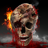 PSNA 3482E1BDA086877F19B7A8A55B57EA2E96871334