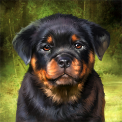 PSNA 517BBEA722B649EA4B15057075FE43D63D83DF5E.png