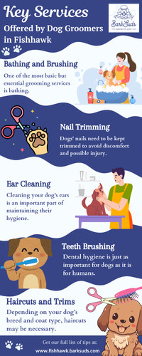Local Dog Groomers Fishhawk.jpg