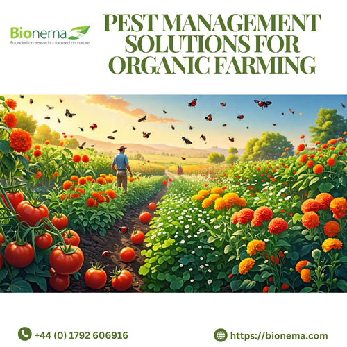 Effective Pest Management Solutions for Organic Farming.png