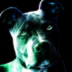 PSNA DC536AC2CA4C11B637C94768EC1464CA2AFD102D.png