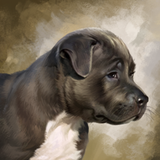 PSNA C6B7F0076B773611A541B8D7C986650A7074B139