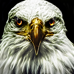 PSNA D507B6E287926C540B8335969A13B88F6F73360B.png