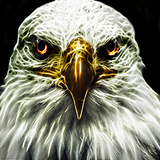 PSNA D507B6E287926C540B8335969A13B88F6F73360B