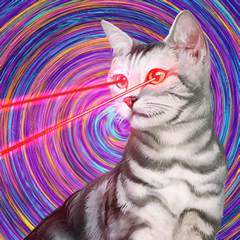 PSNA C323190FE1D6EB94A8CAB2912D01CA814E48FB6B.png