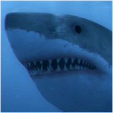 PSNA E40B0892789A8E60E8A92E19BB24CABB2F1732A7