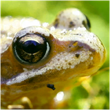 PSNA E3CC565C88AC13A3C395790CDB549F99BA460BC5