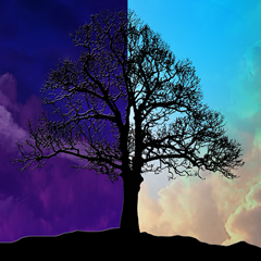 PSNA DB41E74DB102E62679B59324FEE1FDF6C9D7DFEE.png