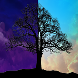 PSNA DB41E74DB102E62679B59324FEE1FDF6C9D7DFEE