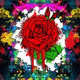 PSNA DB28FE2F5103BEA4293C4DF56F727E70C8EC226D