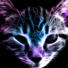 PSNA E99CE2AA000CBE3A8ACA5D53607F4C685030E036.png