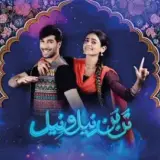 t201 tan man neelo neel card