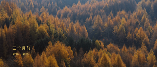 Little.Pickled.Village.S01E01.2024.2160p.WEB DL.H265.AAC HHWEB.mp4 20241207 173956.680.png