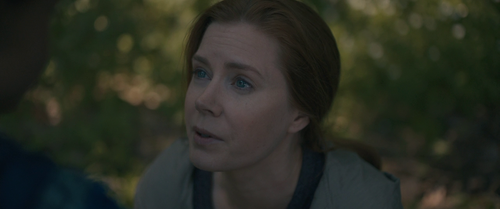 vlcsnap 2024 12 07 11h46m55s358.png