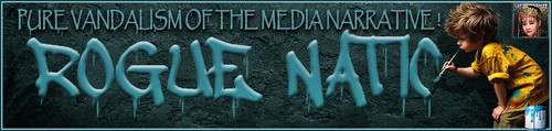 Vandal Banner.jpg