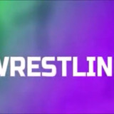 Wrestling Is Fake.mp4 snapshot 00.02.765