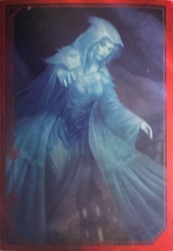 195.jpg
