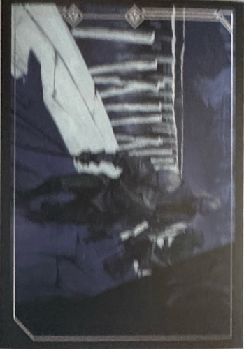166.jpg