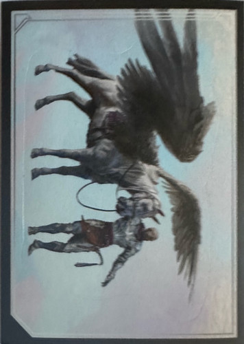106.jpg