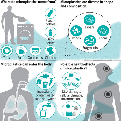 microplastic2403.jpg