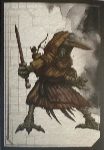 144.jpg