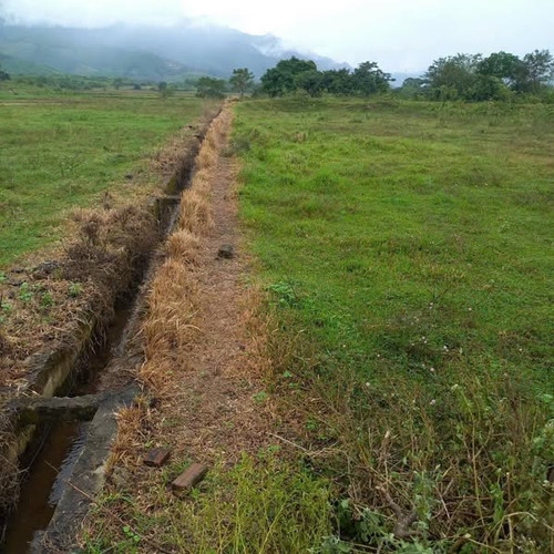 469493827 1010776594410759 1073828548664157561 n.jpg