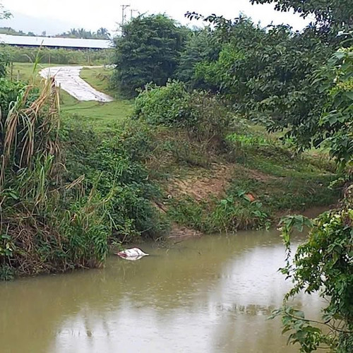 469422847 1010776597744092 7142493154733057317 n.jpg