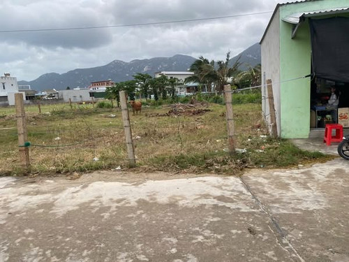 469555325 3815309202117364 3191817336162297333 n.jpg