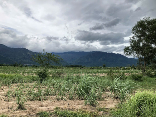 469480652 2364662093878738 2866374242199918 n.jpg