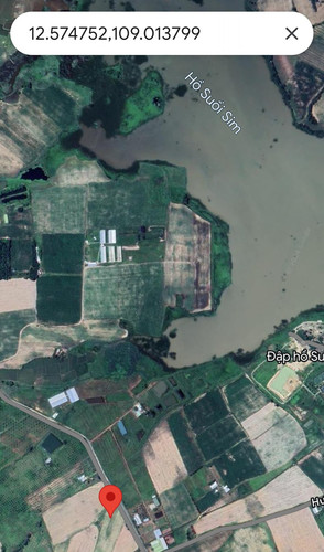 469418421 2364662507212030 7516733868861079569 n.jpg