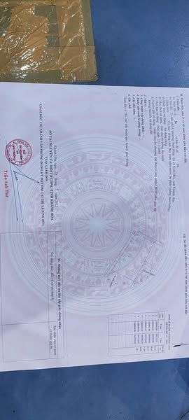 469529584 2438369033160833 3316996292021575255 n.jpg