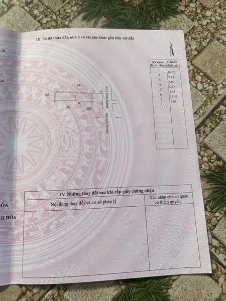 469035978 1132152718482240 8220186974478611300 n.jpg