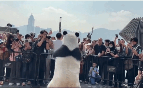 SmartSelect 20241208 114640 Samsung Internet.gif