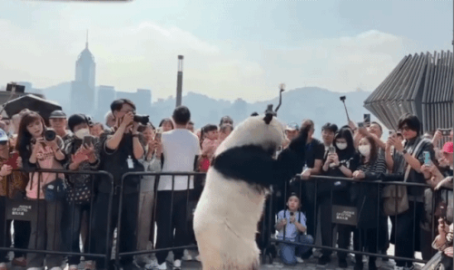 SmartSelect 20241208 114418 Samsung Internet.gif