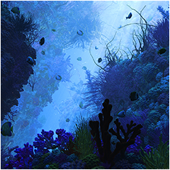 PSNA 706956E15D0C1B2DA346533EDE73B46AACDD3318.png