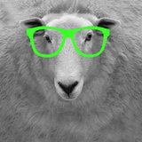 PSNA 1722401FB32327567657CD137FA9F3F9BBA62ABB