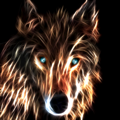 PSNA 3452998B631109DE7E73AAB68C47B2B7F9321918.png