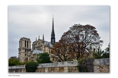 Notre Dame.jpg