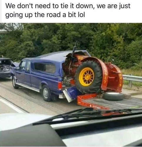 65c335c124124 5le8ytlh3ef91 700.jpg