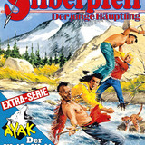 Silberpfeil 545
