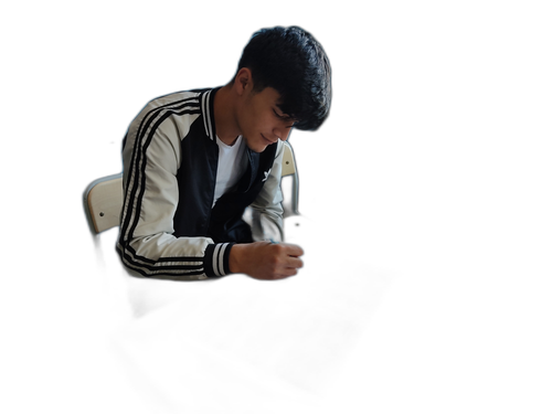 Talha Ozdemir zyro image.png