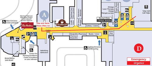 Civic Main Floor A Desk Goto Tulip Cafe.png