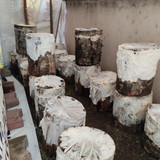 IMG 20230227 124305