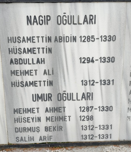 05.jpg