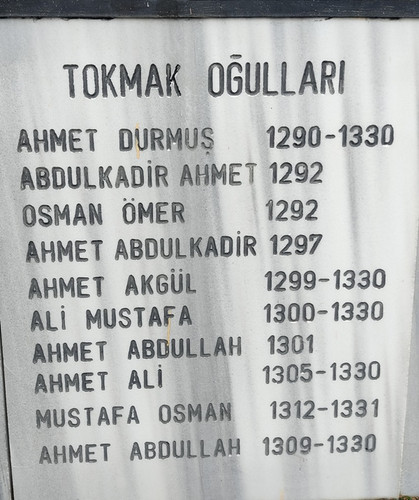 04.jpg