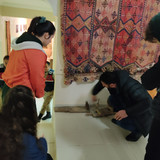 IMG 20230321 102446