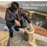 IMG 20240112 WA0030